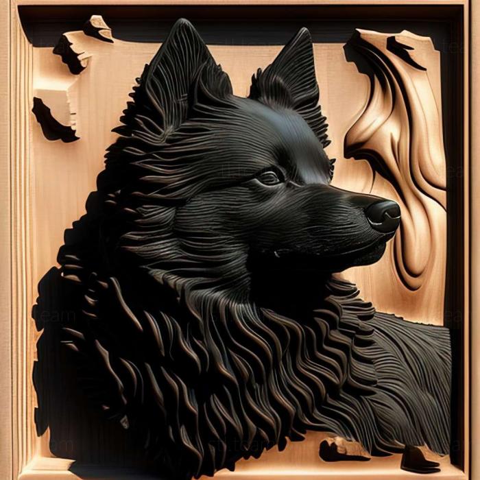 3D модель Собака Шипперке (STL)
